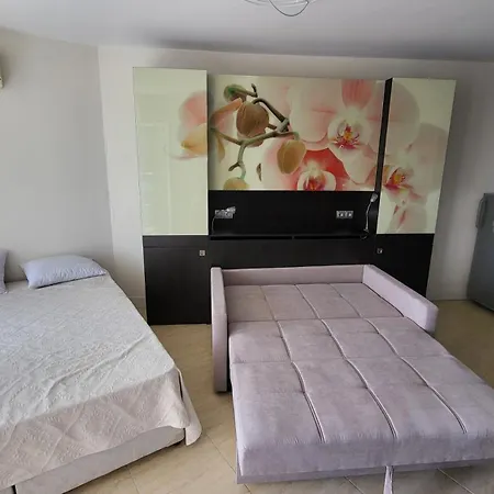 F210 - Bulharsko * Aheloj